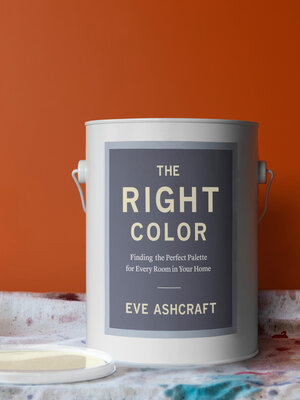 cover image of The Right Color
